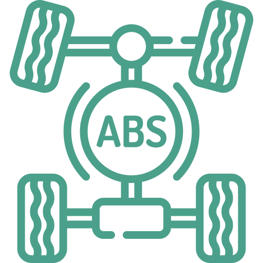 ABS and Traction control systems